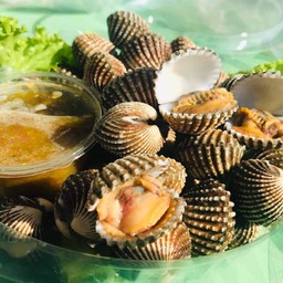 เทย หอย แซ๊บบบบบ