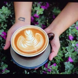 ลาเต้ (ร้อน)