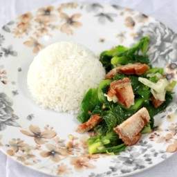 ข้าวราดผัดแขนง