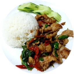 ข้าวกะเพราหมูราดข้าว