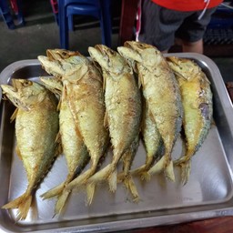 ปลาทูทอดตัวละ ( 60  )