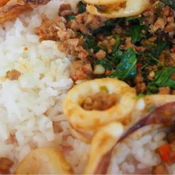 กะเพราหมูสับ ปลาหมึก ราดข้าว