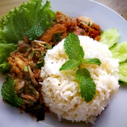 ตามสั่ง ทำ มะ ดา ฮาลาล