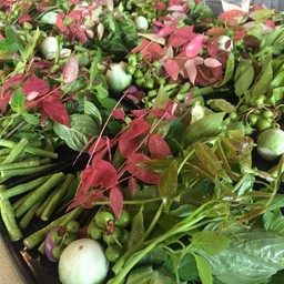 ผักสดถุงใหญ่