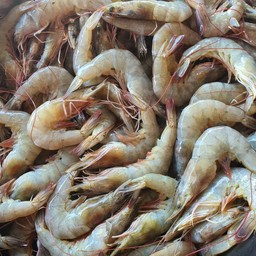 ยำกุ้งสดปลาร้าแซบๆ นัวๆ