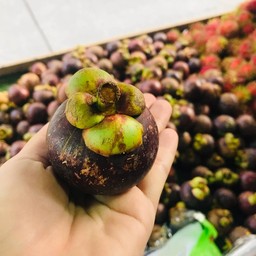 ร้านผลไม้ใต้กะต๊ะ