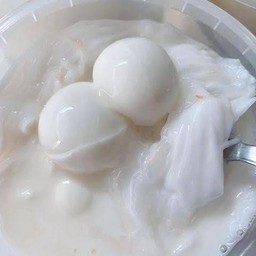 พุดดิ้งนมสดมะพร้าวอ่อน