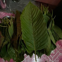 ร้านใบใกล้บ้าน