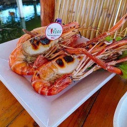 กุ้งเผา 5-6 ตัว/กก. (ราคาตามน้ำหนัก)