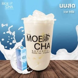 Moe cha คลอง6 คลอง6