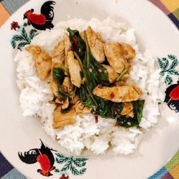 กะเพราไก่ราดข้าว