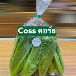 สลัดอร่อยจุก เสรีไทย