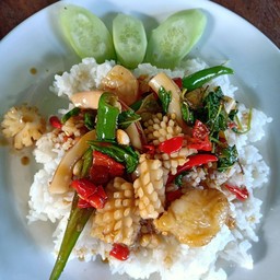 กระเพราทะเล