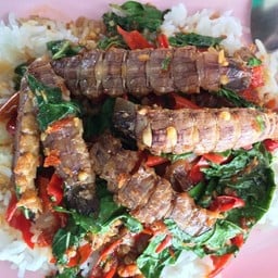 ข้าวกะเพรากั้ง