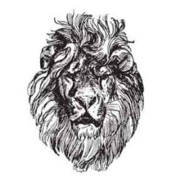 Lion Heart สาขาในเมือง