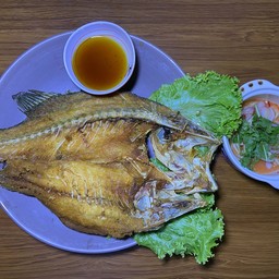 หมึกย่าง เพชรหึงษ์33