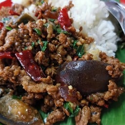 ข้าวกะเพราหมูสับไข่เยี่ยวม้า