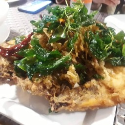 Deep Fried Sea Bass With Thai Herb