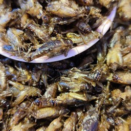 ร้านกะเพราซะป๊ะ