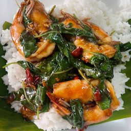 ข้าวกะเพรากุ้ง