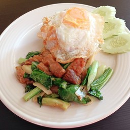 ข้าวราดคะน้าหมูกรอบ