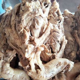 ต่ายโครงไก่ทอด