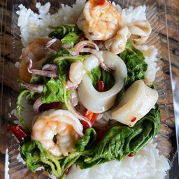 กระเพราทะเล