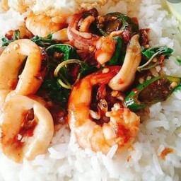 กะเพราหมึกกุ้งราดข้าว