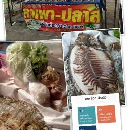 ปลาเผา นาย300ปลานิล