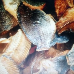 อ๊อฟกุ้งเต้น