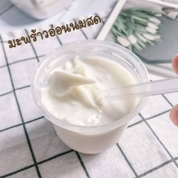 Dream homemade (พุดดิ้งน้องดรีม)