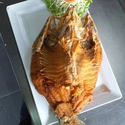 ปลากะพงทอดน้ำปลา
