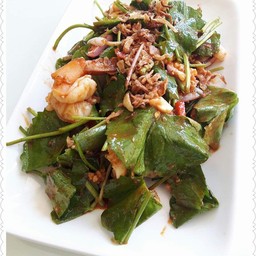 ยำใบบัวบก