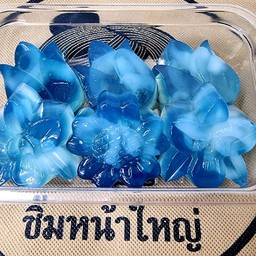 วุ้นลูกตาล