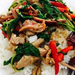 ข้าว กะเพราเป็ดเนื้อล้วน