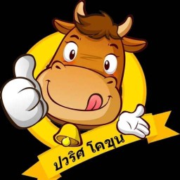 โคขุนย่างเตาถ่าน By.ปวริศโคขุน