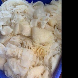 เพิ่มริ้วขาว-ริ้วดำสด