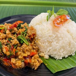 กะเพราไก่ราดข้าว