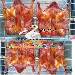 Yes PED เป็ดย่างเกลือ