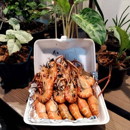 กุ้งสามสหาย
