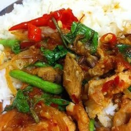 ผัดพริกแกงเป็ดย่างราดข้าว