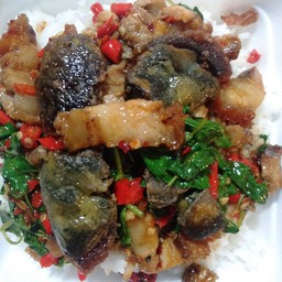 ข้าวราดกะเพราหมูกรอบใข่เยี่ยวม้า