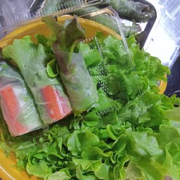 สลัดโรบ้านสวนพลับพลา