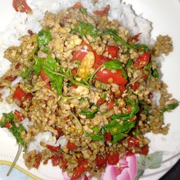 ข้าวราดกะเพราหมูสับ