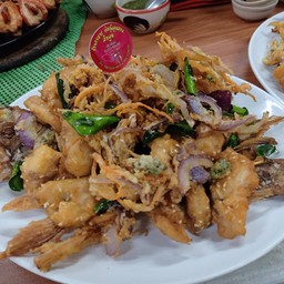 บ่อกุ้งลุยสวนลำพูน ลำพูน