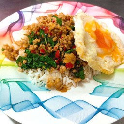 ข้าวราดผัดกะเพราหมูสับ