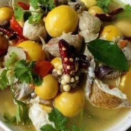 MENU_509974VA_1630764700