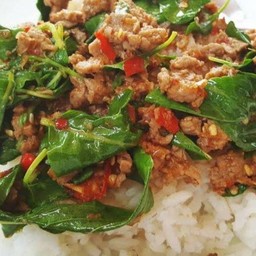ผัดพริกใบโหระพา+ข้าว