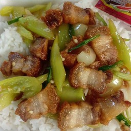 ข้าวหมูกรอบผัดพริกสด