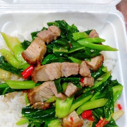 ข้าวคะน้าหมูกรอบ